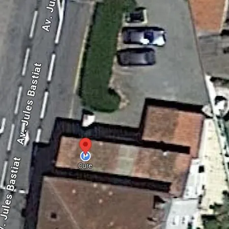 Leon * דקס